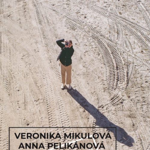 plakát výstava FOTOGRAF Galerie Díra