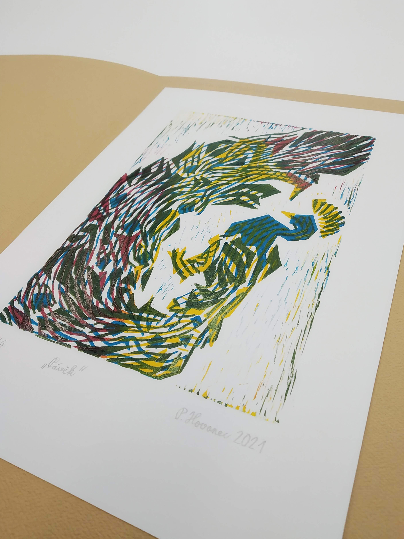 Grafický design - soutěž Opavský páv